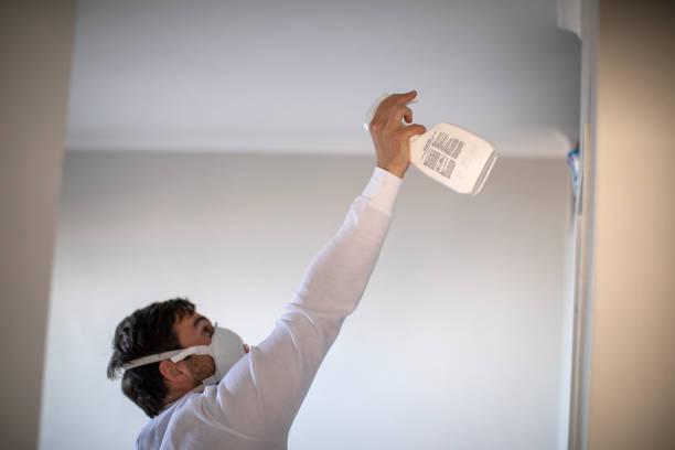 Best Home Mold Removal  in Hutchison, VA
