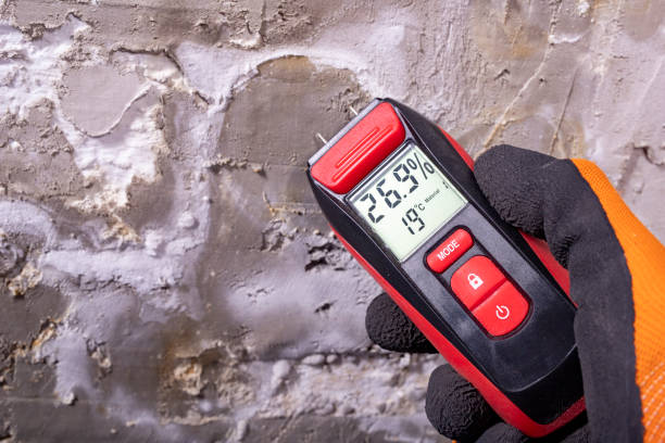 Crawl Space Mold Removal in Hutchison, VA