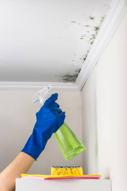 Water Damage Restoration in Hutchison, VA